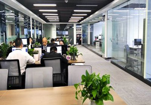 你们都说收录慢，我为什么二天就收录了首页