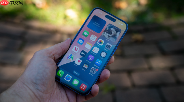 苹果手机屏幕使用时间怎么设置 苹果手机屏幕使用时间在哪里设置